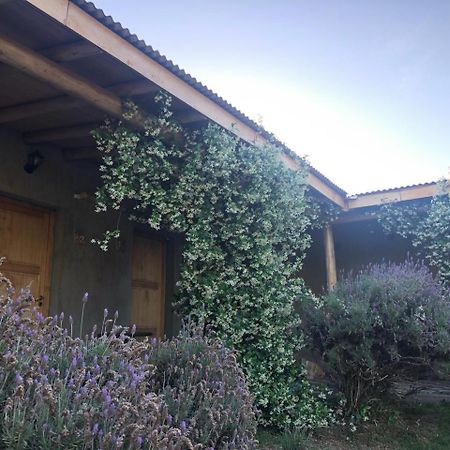 Tikaykilla Lodge & Wines Maipú Zewnętrze zdjęcie