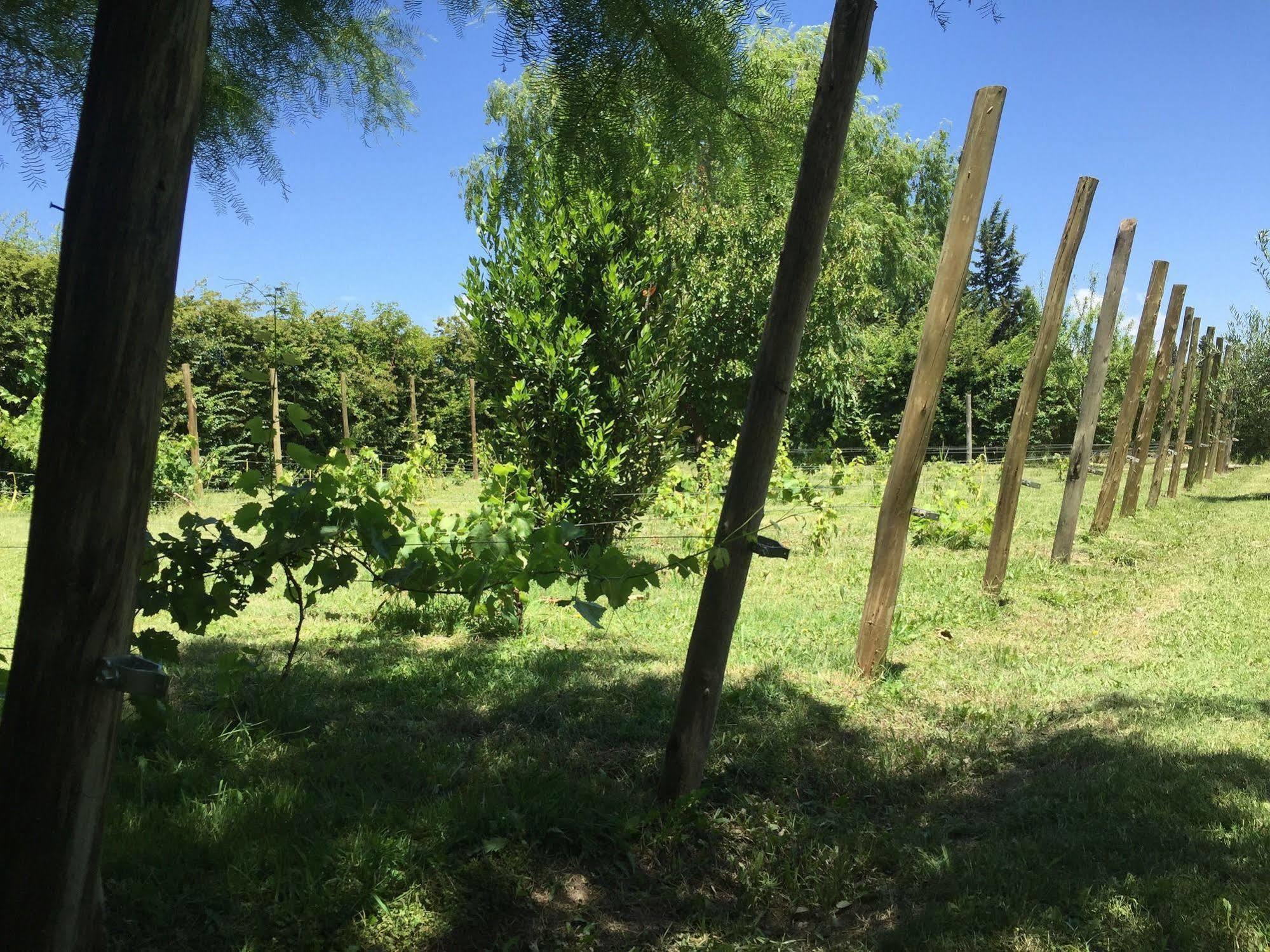 Tikaykilla Lodge & Wines Maipú Zewnętrze zdjęcie