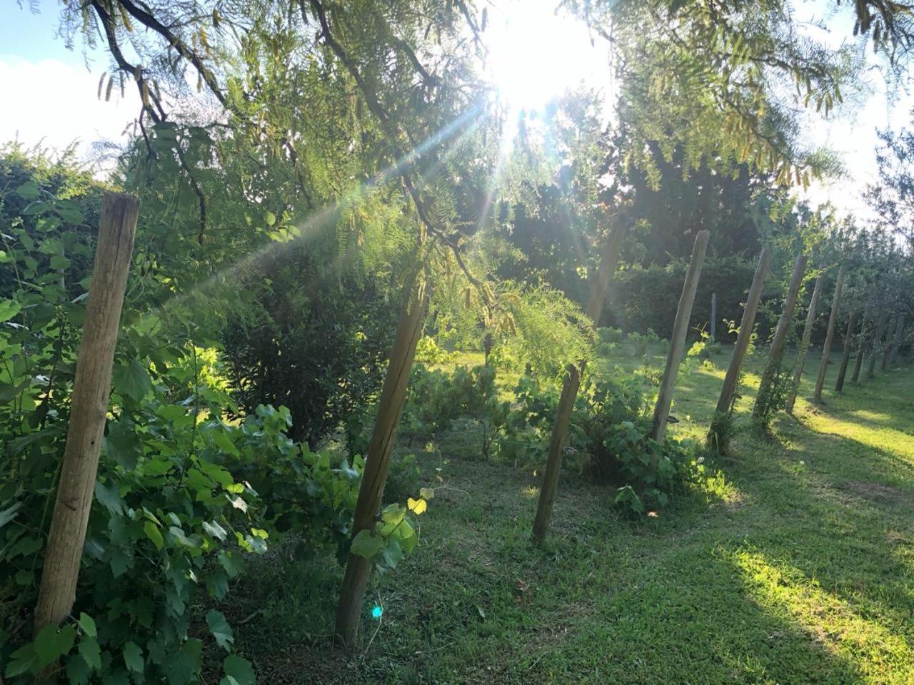 Tikaykilla Lodge & Wines Maipú Zewnętrze zdjęcie